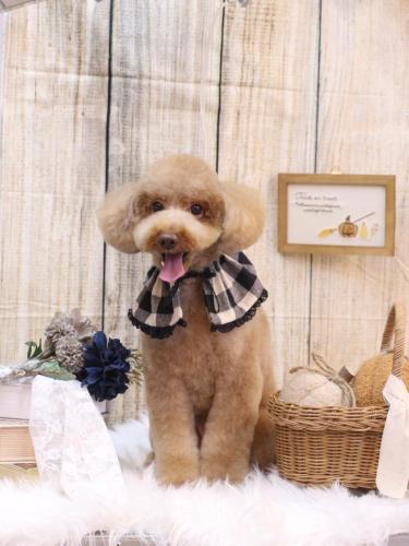 20241008レオくん